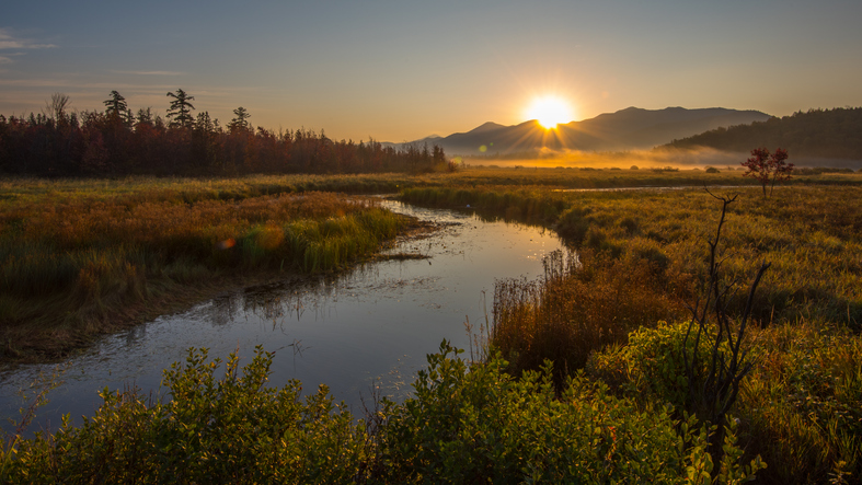 McKenzie Mountain